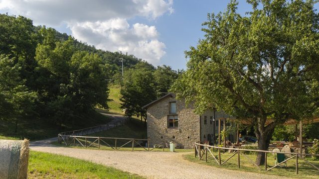 La Cartiera dei Benandanti